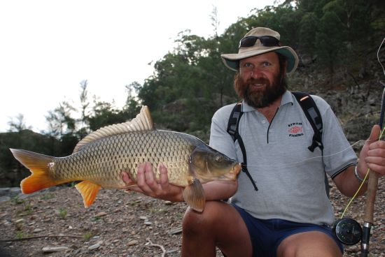 Carp: the Australian story